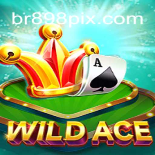 WildAce: A Excitante Aventura no Mundo dos Jogos com BR898.com